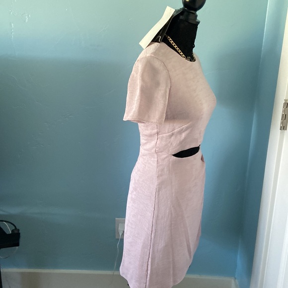 Nordstrom Pink Cut out Dress - medium - adorable - Picture 3 of 5